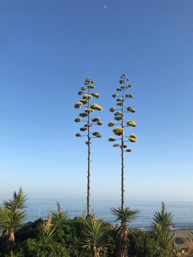Marbella - Estepona Beach Frontline Apartment Kültér fotó